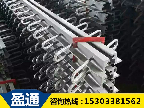 河北橋梁伸縮縫GQF-E