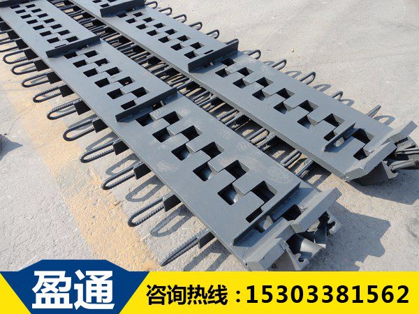 河北SSF橋梁伸縮裝置