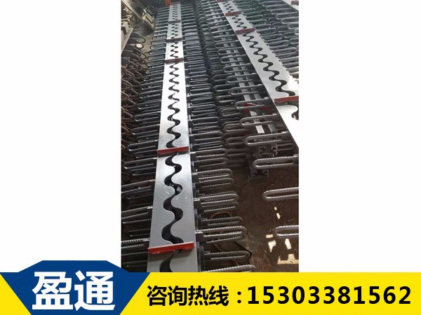河北SSF橋梁伸縮裝置