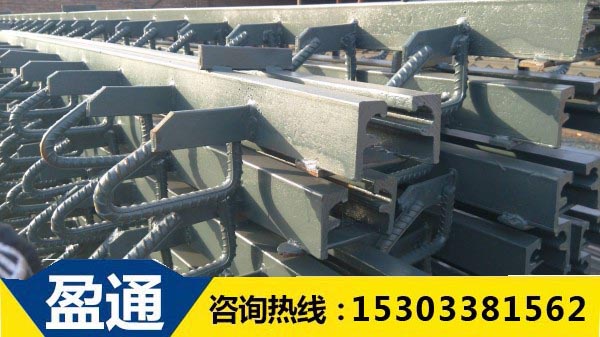 GQF橋梁伸縮縫-F型