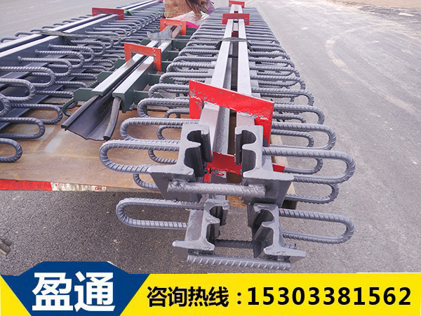 D80型橋梁伸縮縫