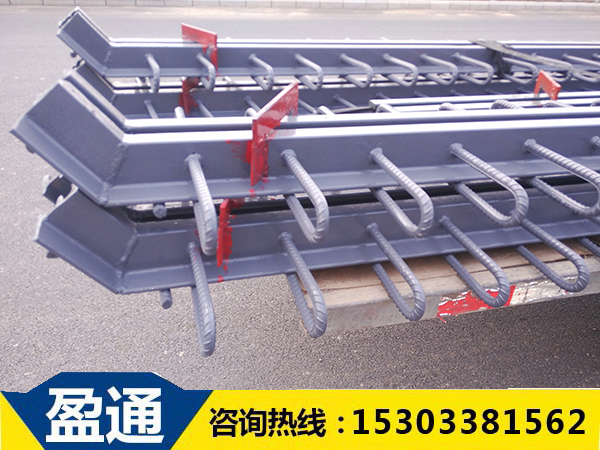 E型鋼伸縮縫廠家