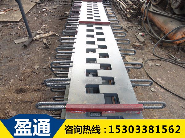 梳齒板式橋梁伸縮縫 梳齒板式橋梁伸縮縫