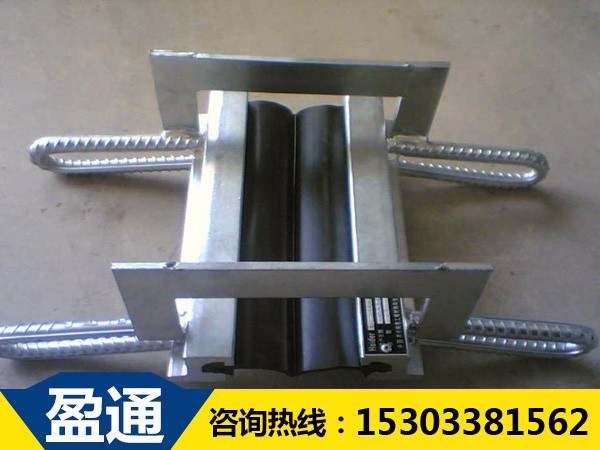 GQF-RG橋梁伸縮縫